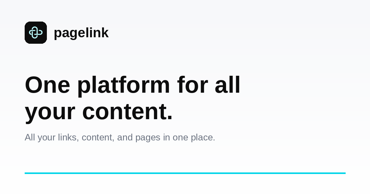PageLink screenshot 1