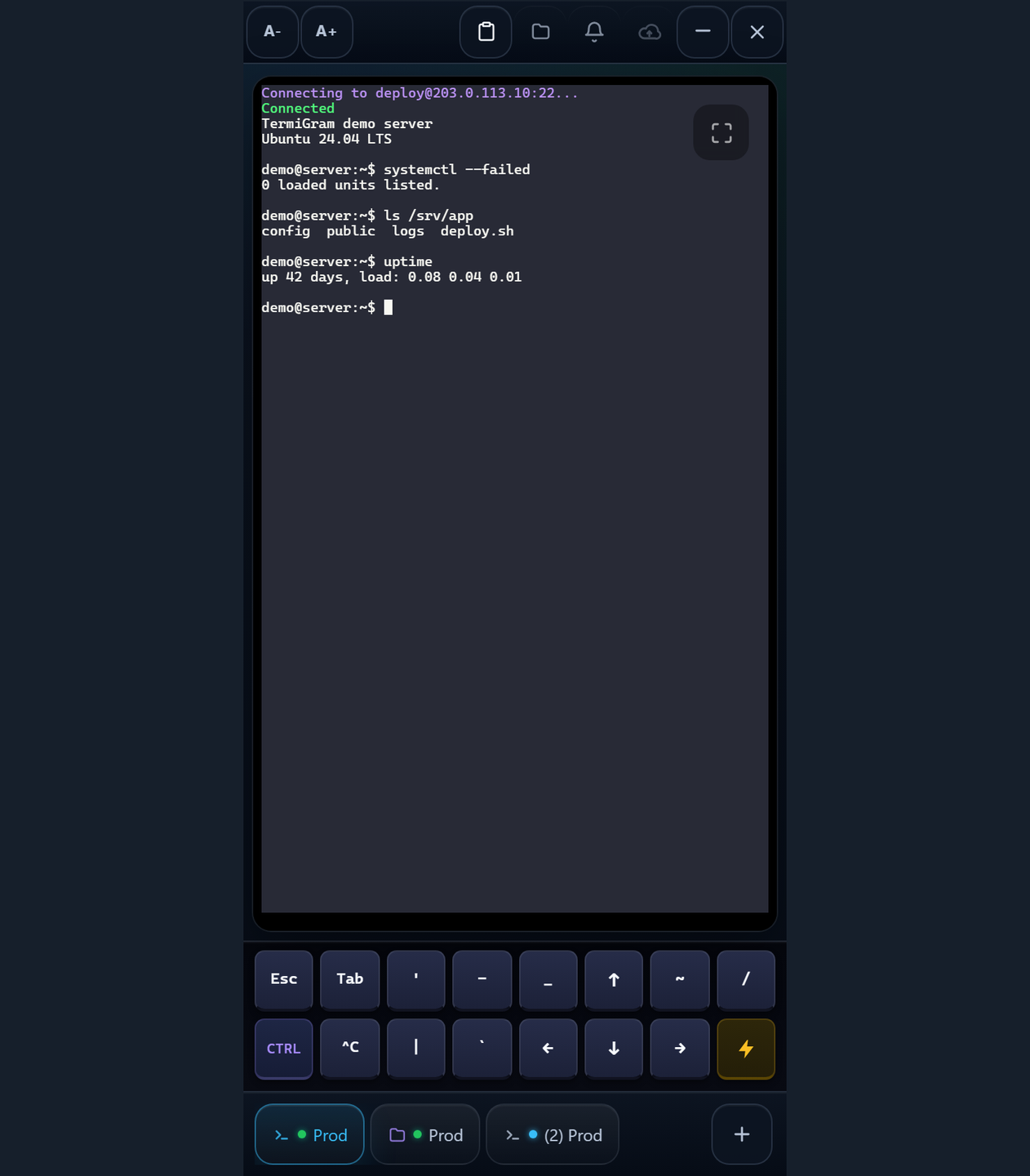 TermiGram screenshot 2